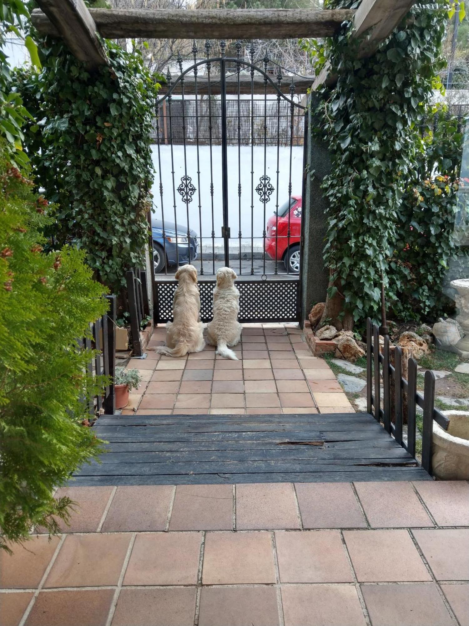 Hotel El Balcon De Las Nieves Ла-Субія Екстер'єр фото