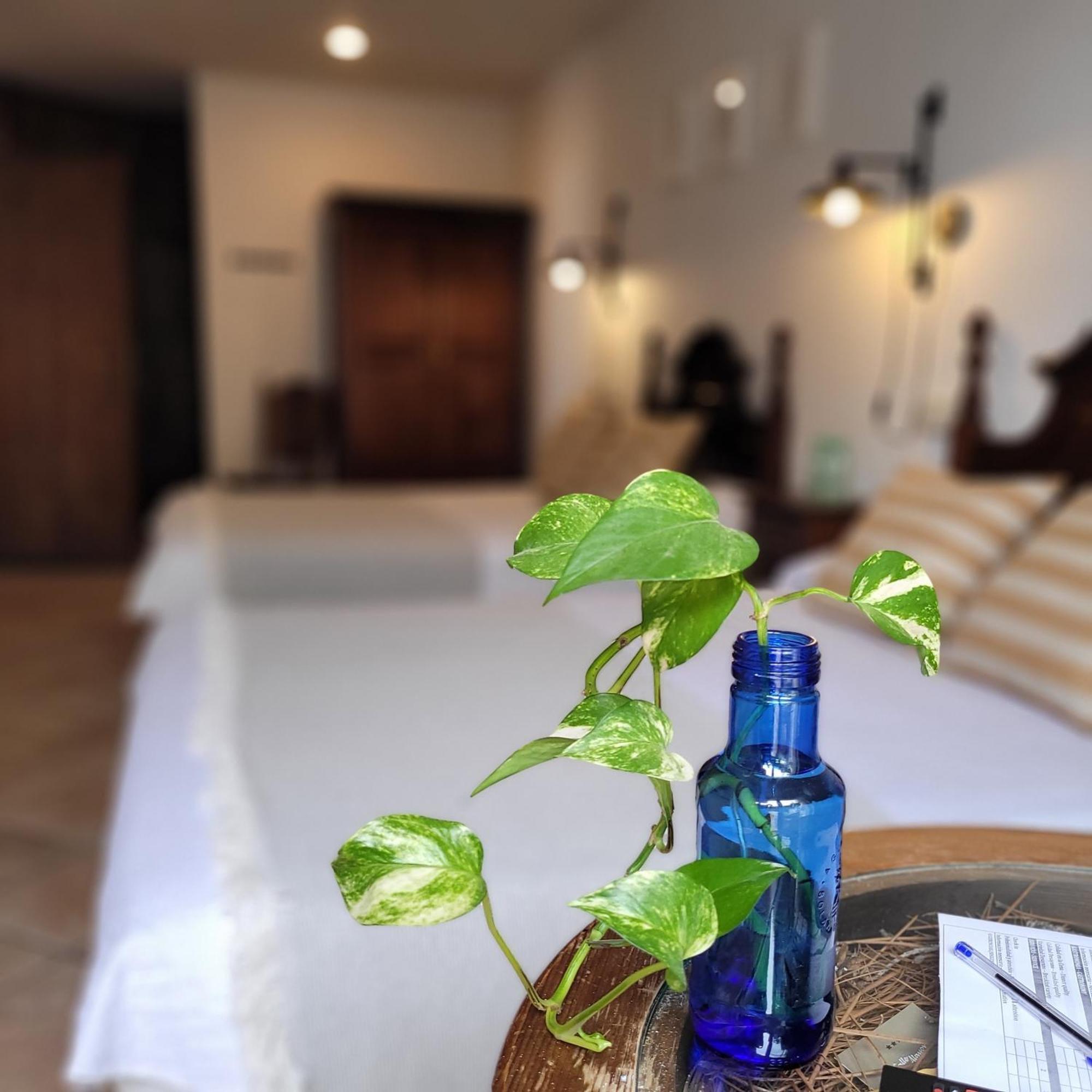 Hotel El Balcon De Las Nieves Ла-Субія Екстер'єр фото